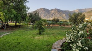 Property grounds - Suite with kitchen and private terrace countryside (Nigüelas)