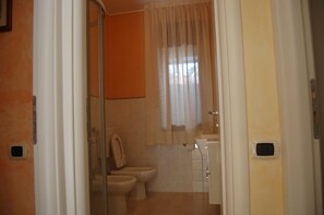 Shower, hair dryer, bidet, towels