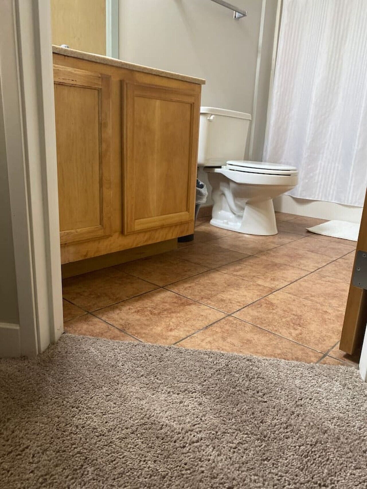A bathroom with a wooden cabinet, a white toilet, and a shower curtain.