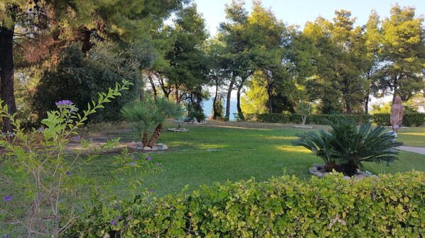 Property grounds - Comfortable holiday home with large balcony (Possidi)