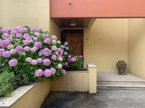 A building entrance with a wooden door, a small step leading up to the entrance, and a potted plant on the right.