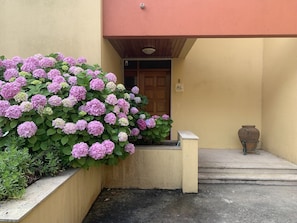 Dettaglio esterni