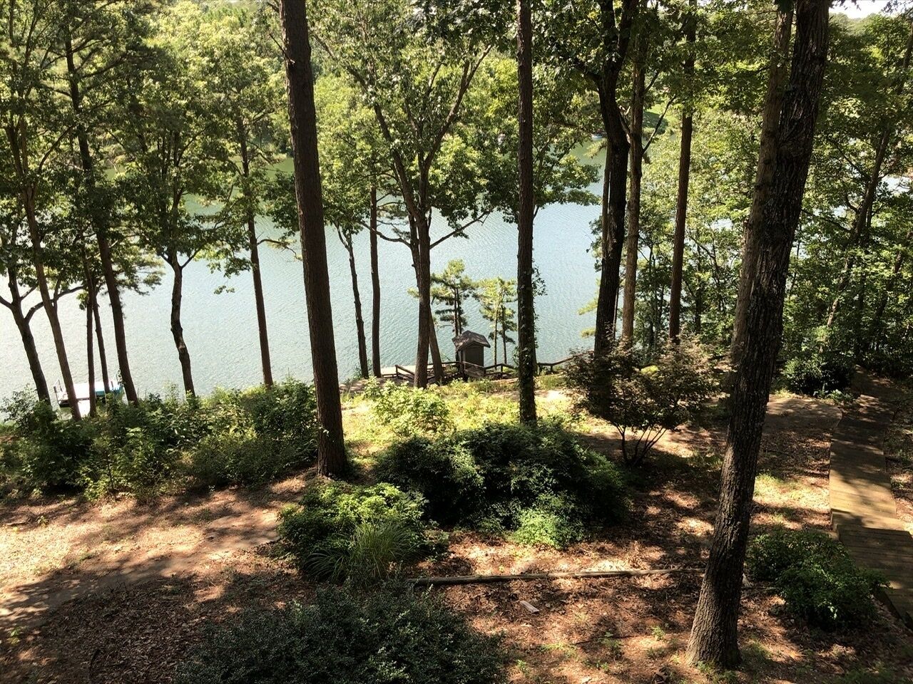 A forested area with a lake, a wooden deck, and a small cabin-like structure.