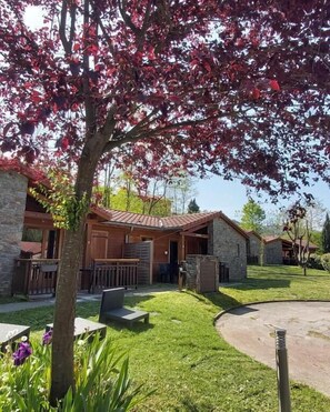 Front of property - Le Hameau du Comté de Foix (Mercus-Garrabet)