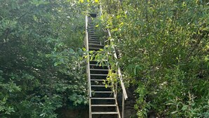 Una escalera de madera que sube hacia una zona rocosa rodeada de vegetación densa.