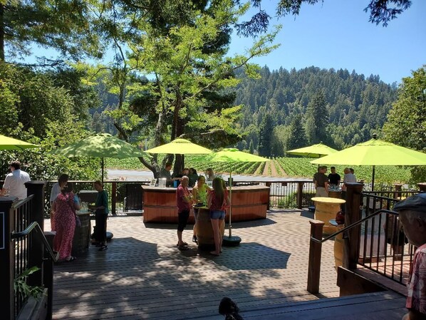 Outdoor dining - Upscale Riverfront Magnificent Views & Hot Tub In Sonoma County Wine Country (Guerneville)