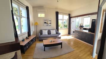 TV connectée, cheminée, livres, vidéothÚque