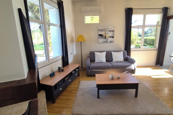 Smart TV, fireplace, books, video library