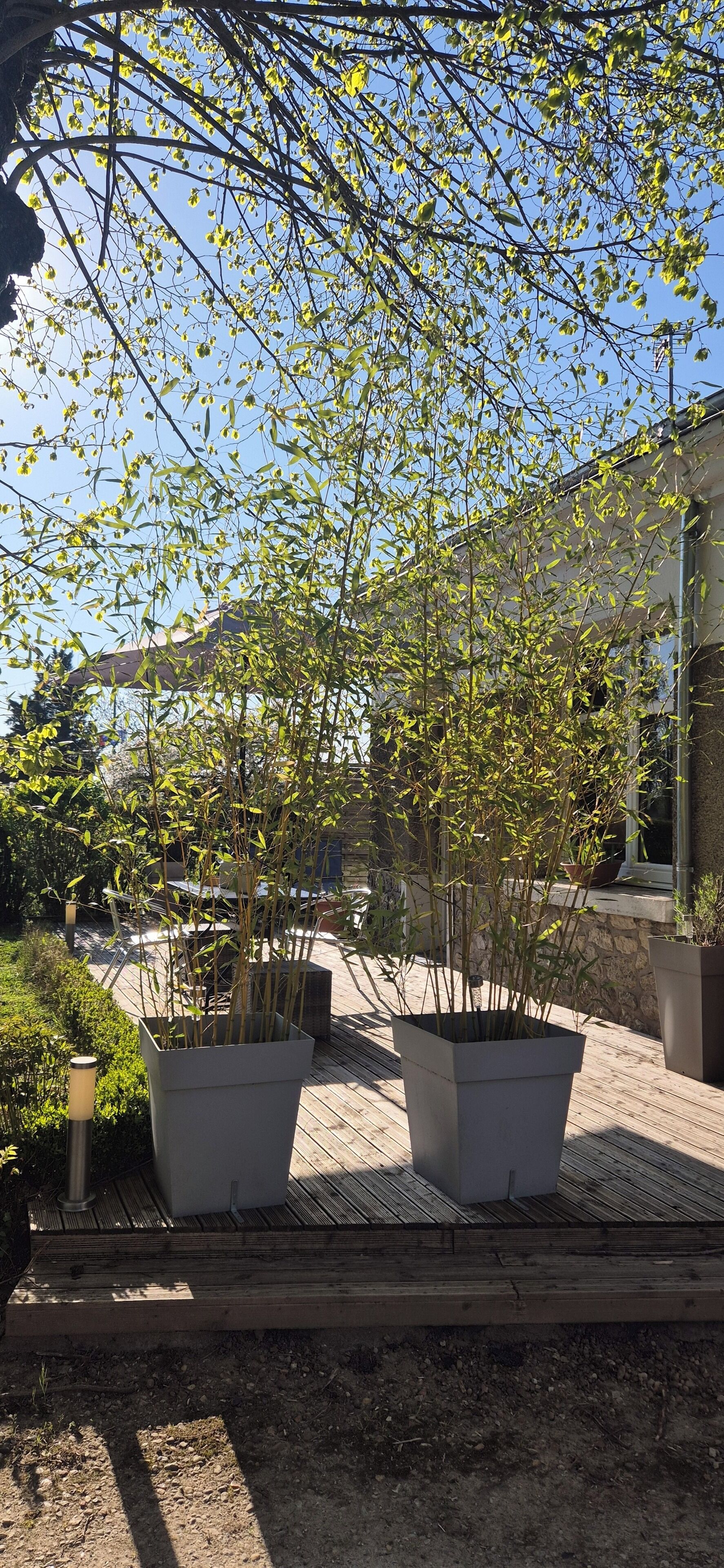 المنطقة المحيطة بالمنشأة