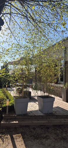 Amboise, lovely air-conditioned house in the heart of the vineyards,