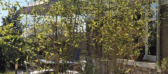 Amboise, lovely air-conditioned house in the heart of the vineyards,