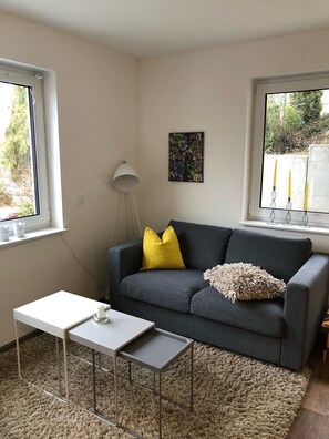 Älytelevisio, kirjoja