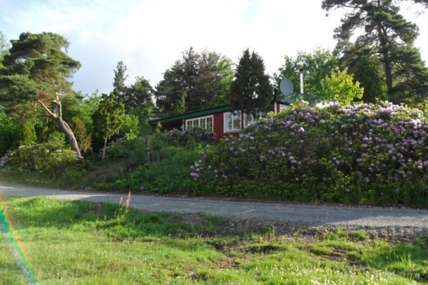 Haus umgeben von Rhododendren