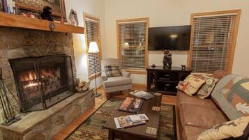 TV connectée, cheminée, livres