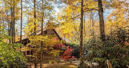 HIGH SPEED FIBER OPTIC WIFI; Tranquil Treehouse on 2.5 Acres; Affordable Luxury