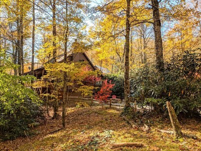HIGH SPEED FIBER OPTIC WIFI; Tranquil Treehouse on 2.5 Acres; Affordable Luxury
