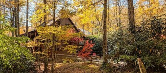 HIGH SPEED FIBER OPTIC WIFI; Tranquil Treehouse on 2.5 Acres; Affordable Luxury