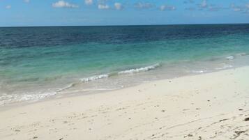 Ubicación a pie de playa y tumbonas