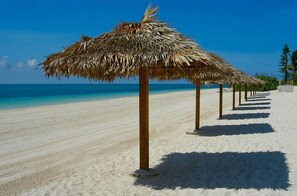A la platja i gandules de platja 