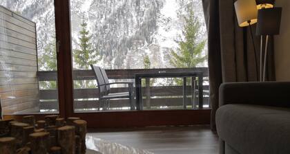 App. Deluxe **** with balcony and Glockner view