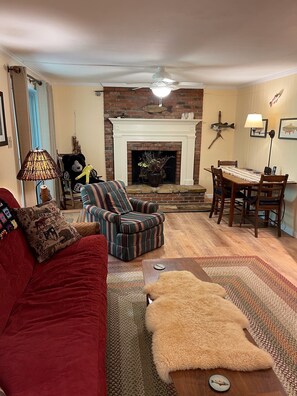 Smart TV, fireplace, DVD player, books