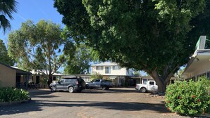 Un parking avec plusieurs véhicules, un bâtiment portant une enseigne indiquant l’accueil, et un grand arbre offrant de l’ombre.