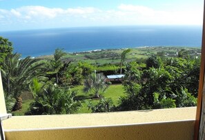 Balcony view - Les Lataniers (Saint-Leu)
