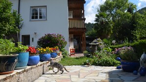 A house with a stone patio, potted plants, and a cat walking. - Family-friendly, Black Forest Nature Park Murg Valley Baden Baden Hiking vacation  (Weisenbach)