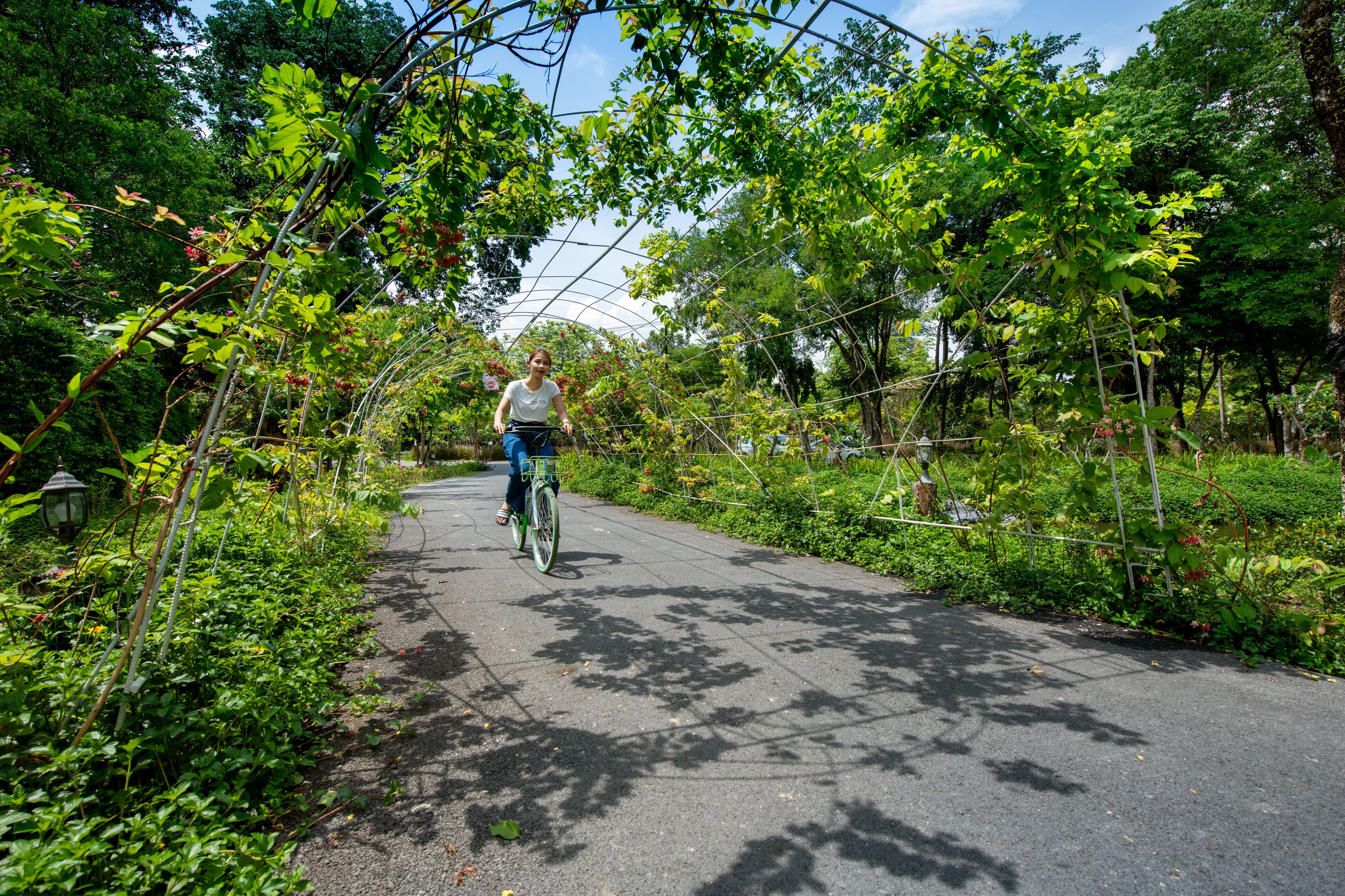 A paved pathway surrounded by lush greenery and trees, with a person riding a bicycle.