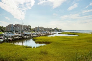 Marina - Sunsets, Peace & Quiet, Next to Northside Park, Over 60 5 Star Reviews! (Ocean City)
