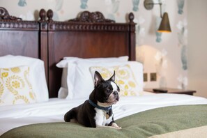 Pet-friendly -  Morton Hotel (London)