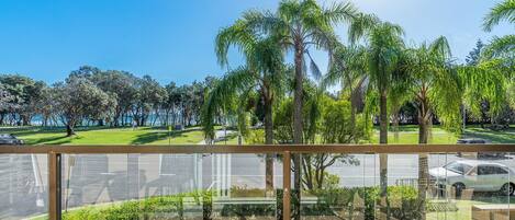 A view from a balcony with a clear sky, palm trees, and a road with cars.