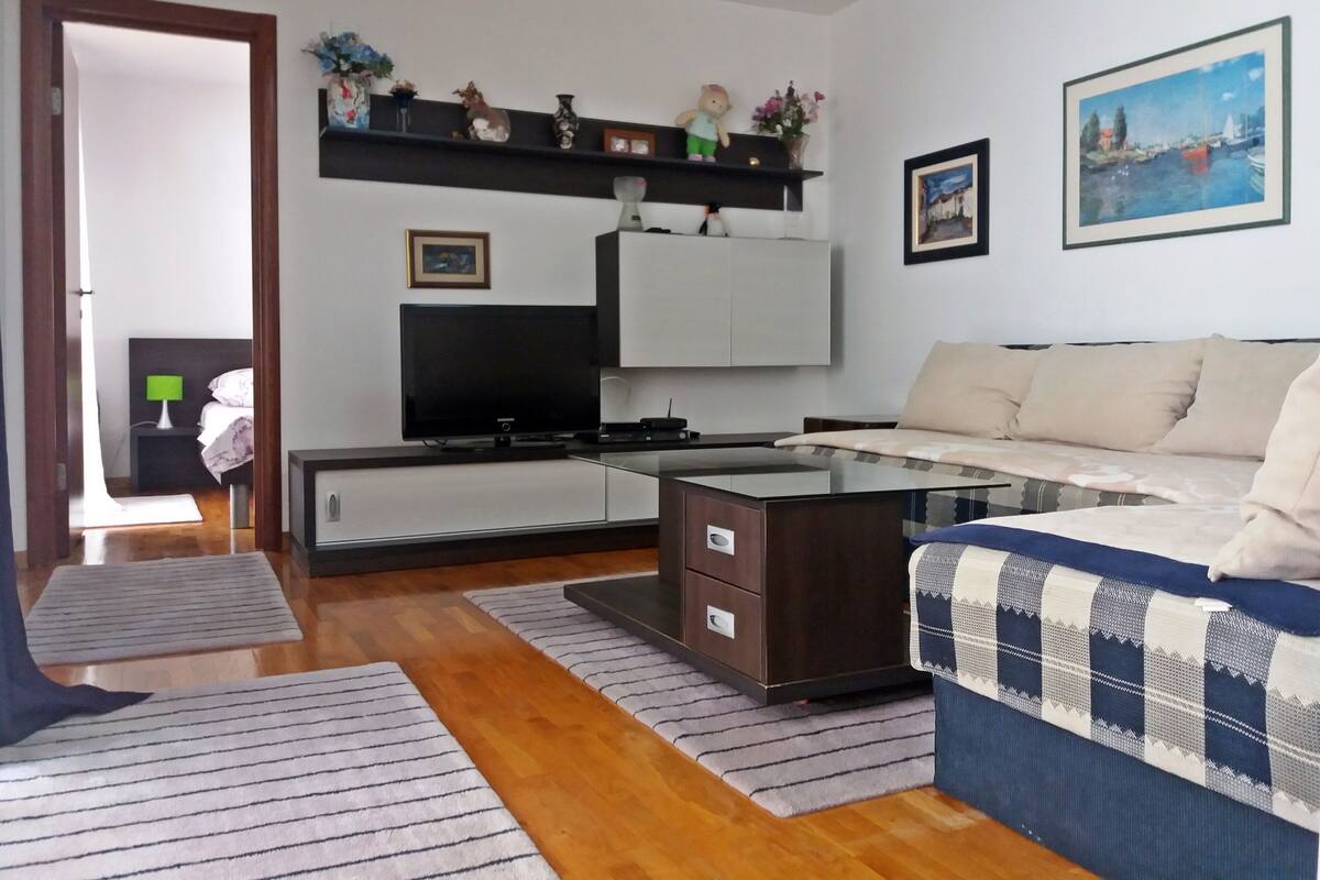 Comfort Apartment, 1 Bedroom | Living room