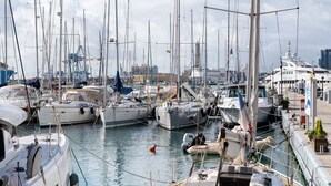 Un puerto deportivo con varias embarcaciones amarradas, incluyendo veleros y lanchas.