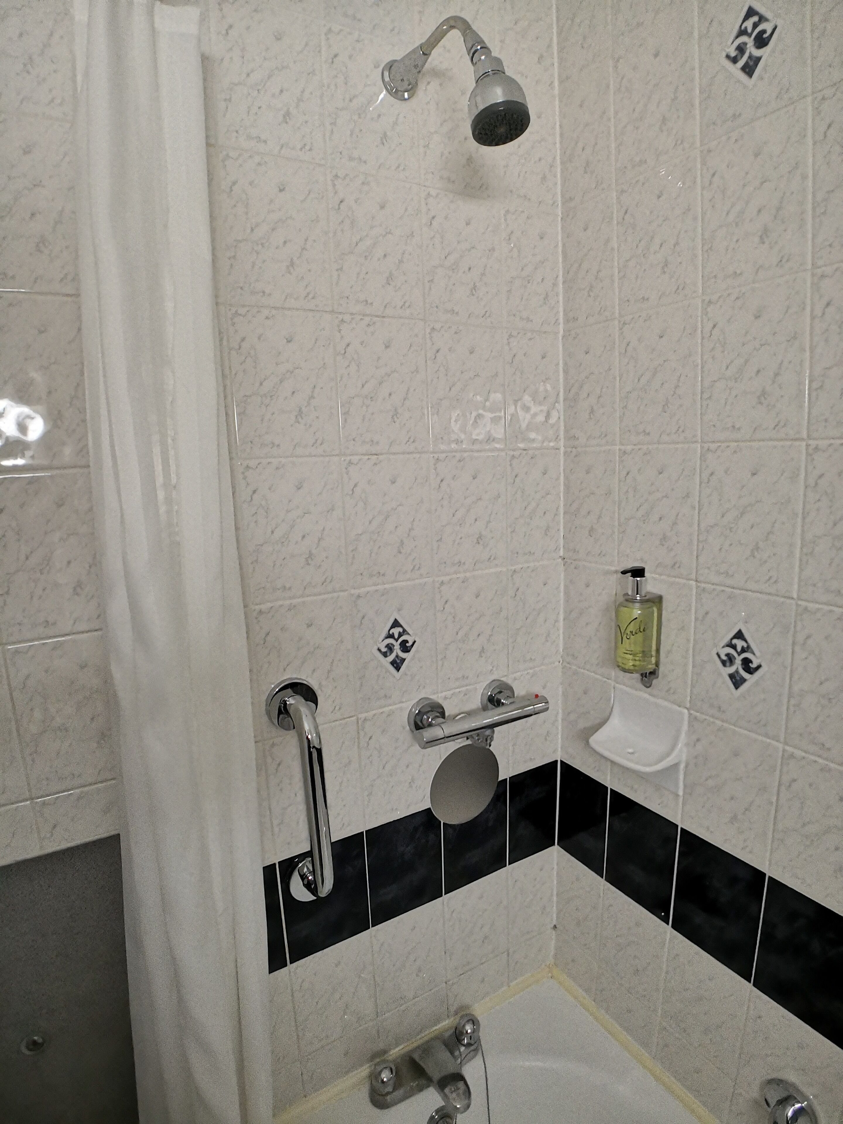 combined shower/bathtub, free toiletries, hair dryer, towels