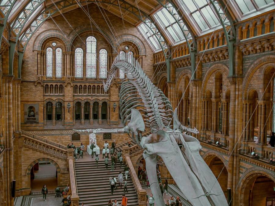 A spacious atrium with a large skeletal structure suspended from the ceiling, surrounded by high arched windows and a central staircase.