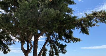 Villa Liandroy (sea view)