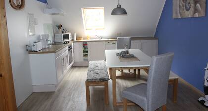 Vacation on the pony farm