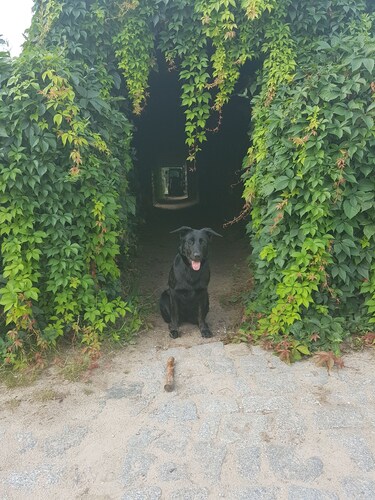 Urlaub auf dem Ponyhof