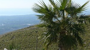Une chaise en osier avec un coussin, placée sur une terrasse offrant une vue sur un paysage montagneux et un palmier.