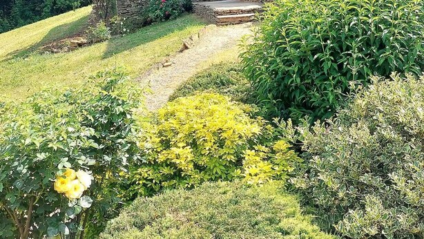 Une maison en pierre avec une cheminée en pierre, entourée d’une végétation luxuriante et d’un jardin.