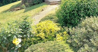 Authentic little Périgord house with saltwater swimming pool on the outskirts of SARLAT
