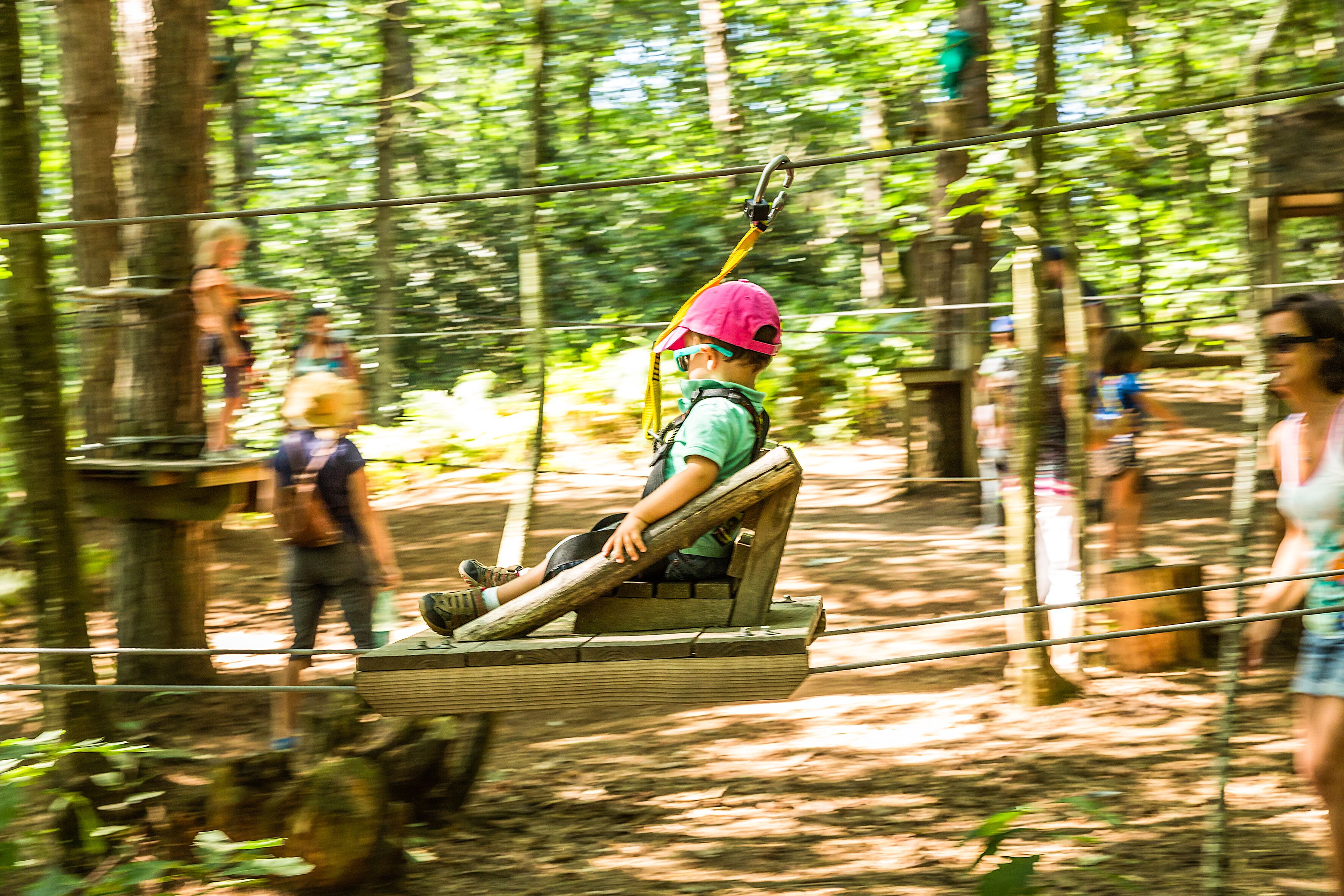 A person on a zip line in a forested area with trees and wooden platforms.