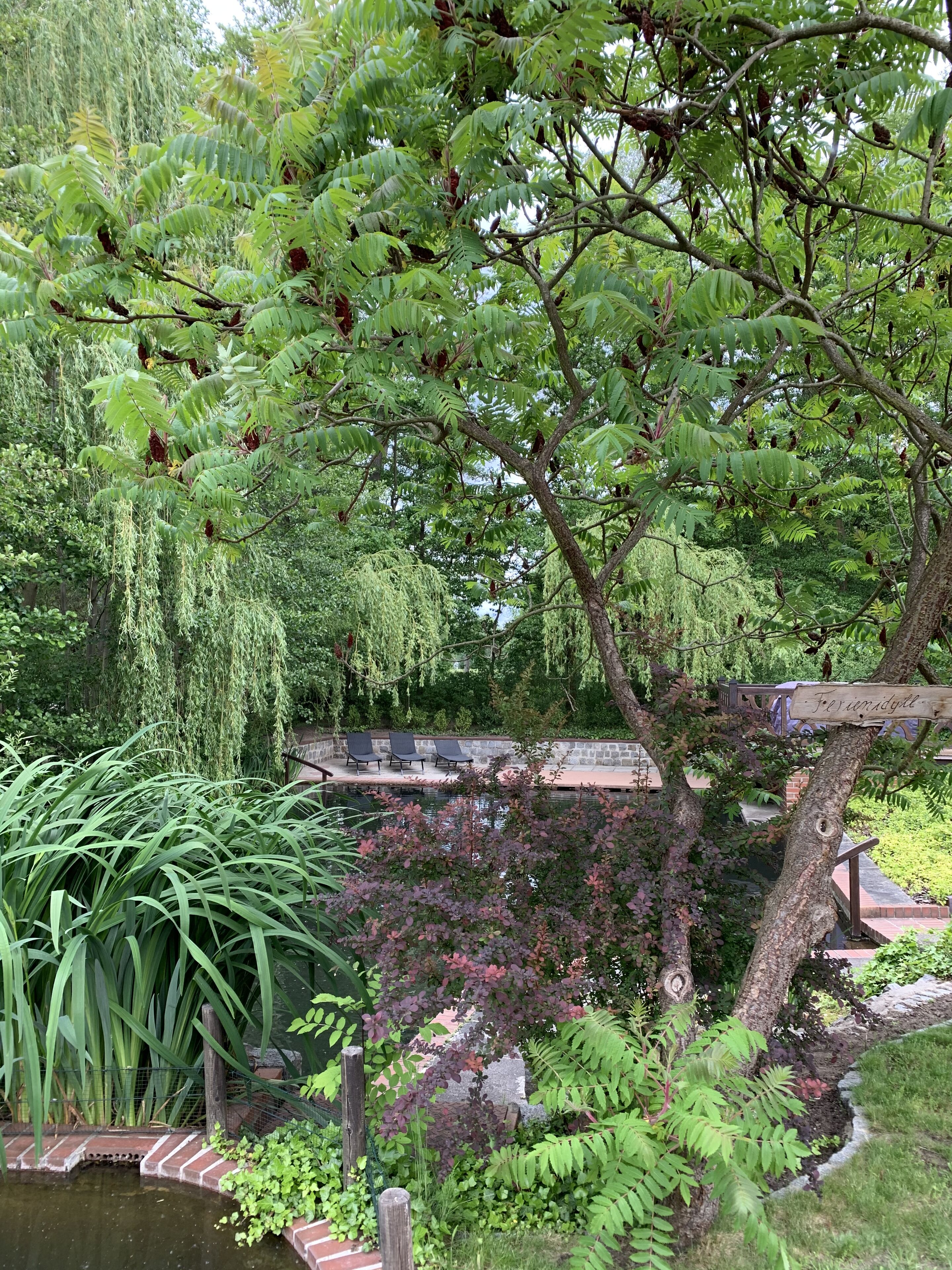 A serene garden with a pond, lush greenery, and a wooden bridge.