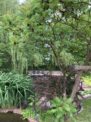 A serene garden with a pond, lush greenery, and a wooden bridge.