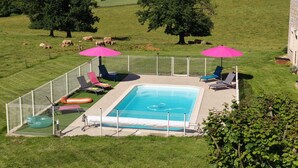 En swimmingpool med solstolar och parasoller, omgiven av ett inhägnat område där kor betar i bakgrunden.