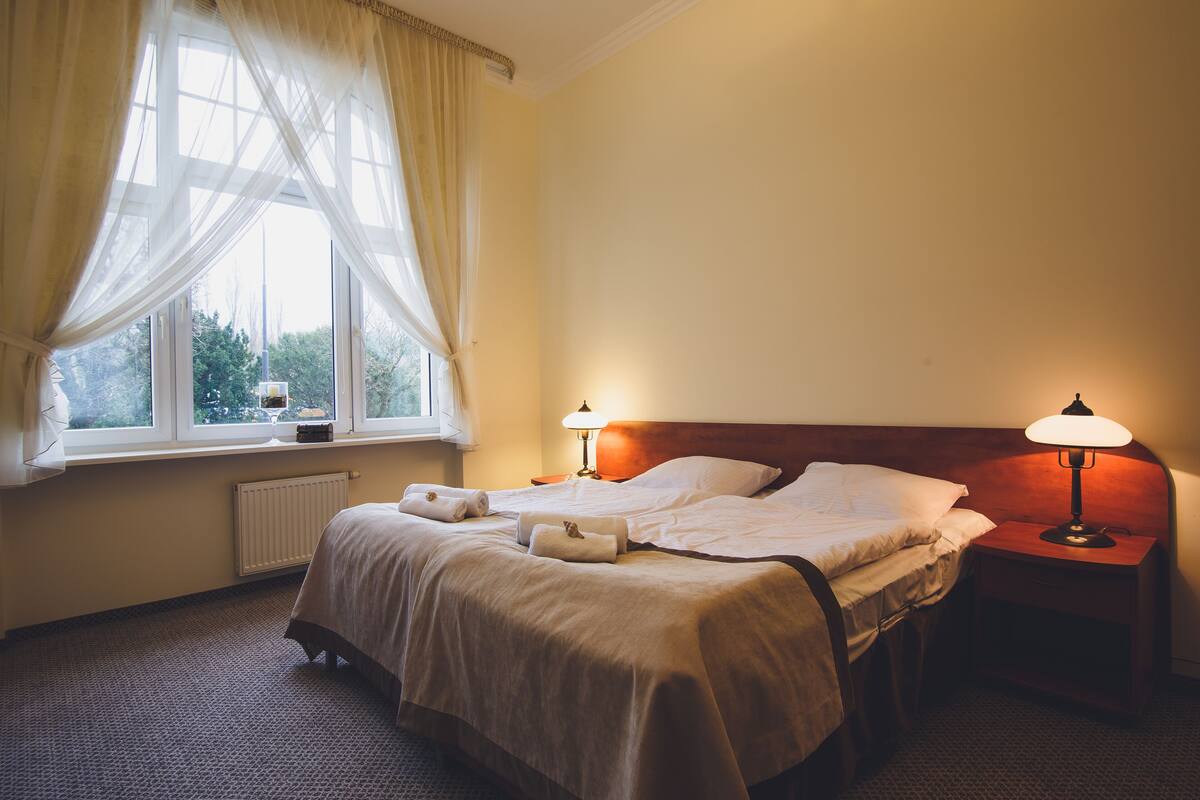 Standard Double Room, 2 Single Beds