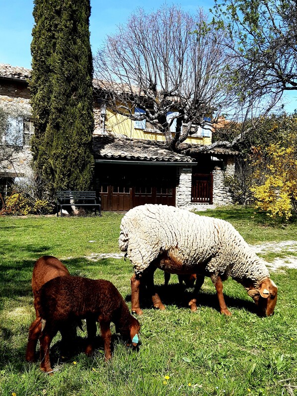 Enceinte de lâhĂ©bergement