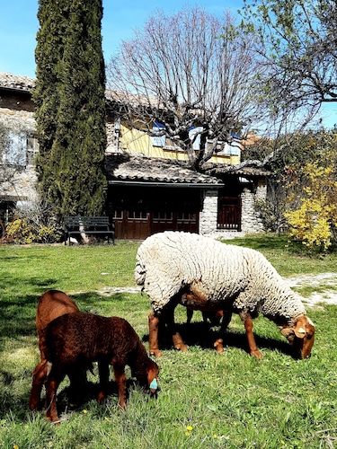 Le Tilleul - Charming gîte with covered terrace facing Mont Ventoux