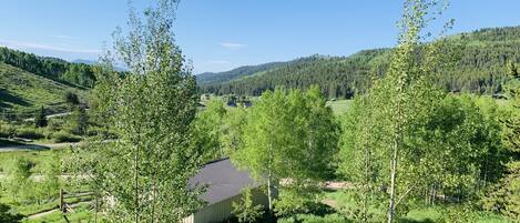 Área da propriedade